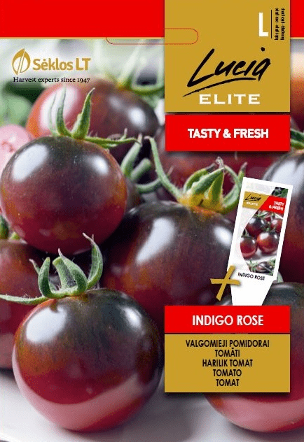 Pomidorai Indigo Rose
