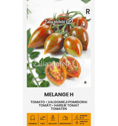 Pomidorai Melange H dryžuoti, margi