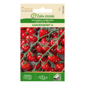 Pomidorai mini raudonos „širdutės“ 'GARDENBERRY H' 10 sėklų A. NAUJIENA 2022 m.