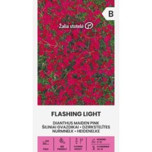 Šiliniai gvazdikai žemi daugiamečiai, kvepia 'FLASHING LIGHT' 0,3 g A.