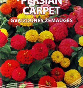 Žemaūgės gvaizdūnės, mišinys, tinka vazonams 'PERSIAN CARPET' 1 g S.