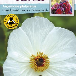 Argemonos, baltosios dygliuotos aguonos (Argemone platycerus) 100 sėklų J. NAUJIENA 2023 m.