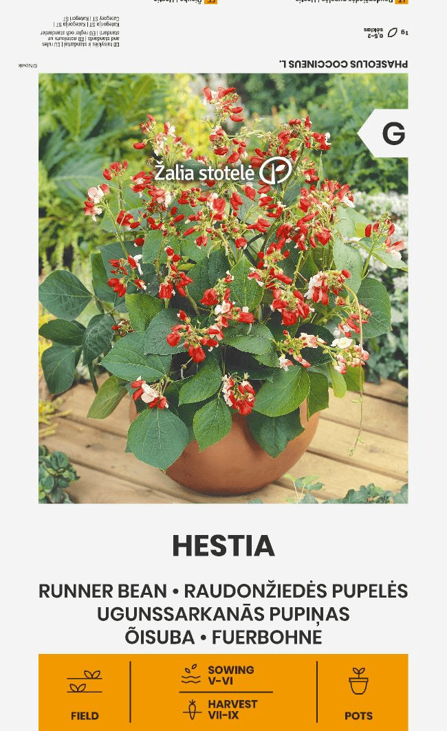 Raudonžiedės pupelės krūminės („fasoliai“) 'HESTIA' 10 g A. Raudonžiedės pupelės krūminės („fasoliai“) 'HESTIA' 10 g A.