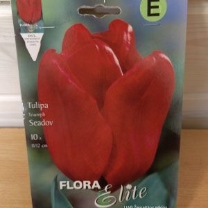Tulpės triumfo raudonos 'SEADOV', 10 svogūnėlių NAUJIENA 2022 m.