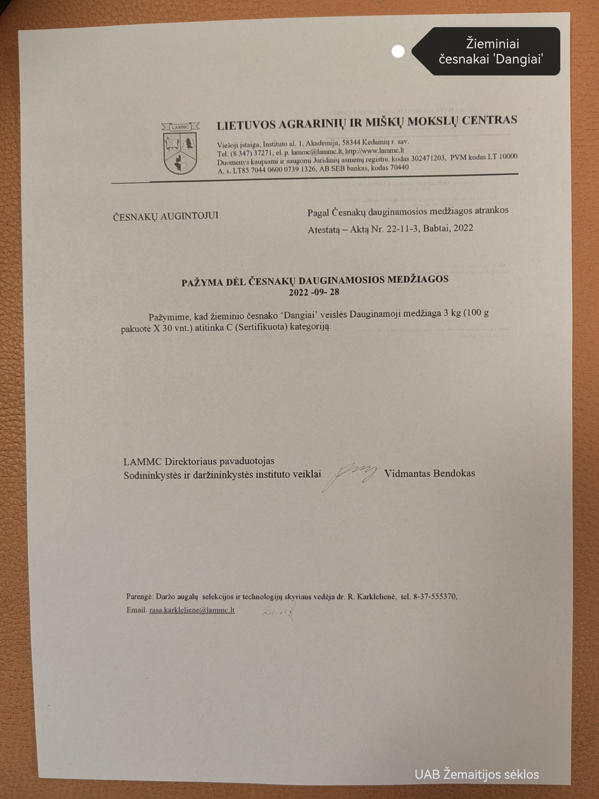 Valgomieji česnakai žieminiai 'DANGIAI' (iš Babtų LAMMC instituto) 100 g (sertifikuoti) Valgomieji česnakai žieminiai 'DANGIAI' (iš Babtų LAMMC instituto) 100 g (sertifikuoti)