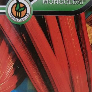 Lapiniai burokėliai raudoni, (mongoldai) 'RHUBARB CHARD' 3 g PS.