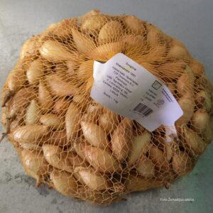Svogūnų sodinukai žieminiai, žiemojantys 'SHAKESPEARE' 1 kg