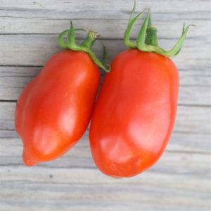 pomidorai Roma VF vaisiai