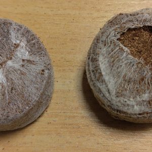 Kokoso plaušo tabletė sėklų daiginimui 35 mm (mažos), skaičiuojamos po 1 vnt.