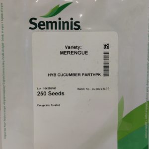Agurkai savidulkiai trumpavaisiai ‘MERENGUE H’ 250 sėklų beicuotos (Profi pakuotė) SEMINIS