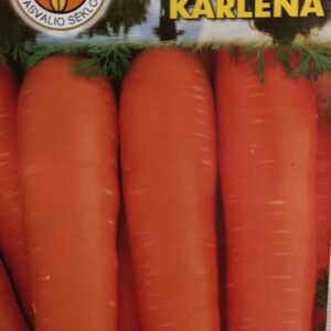 Morkos vėlyvos laikymui 'KARLENA' 5 g PS.