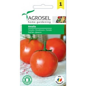 Pomidorai žemi vidutinio ankstyvumo 'AMALIA' 0,6 g AGR. NAUJIENA 2023 m.
