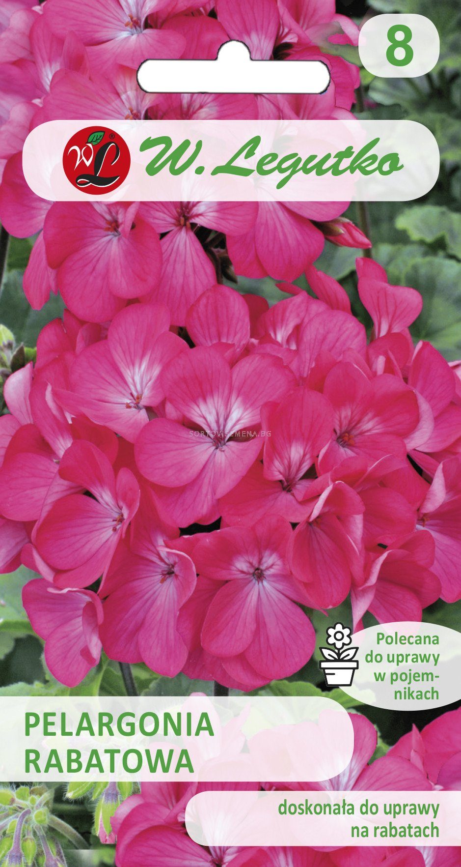 Pelargonijos krūminės hibridinės rožinės 'GAMA F1' 0,05 g L. Pelargonijos krūminės hibridinės rožinės 'GAMA F1' 0,05 g L.