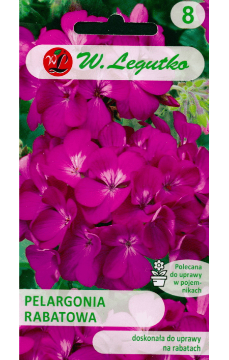 Pelargonijos krūminės hibridinės violetinės 'GAMA F1' 0,03 g L. NAUJIENA 2023 m.