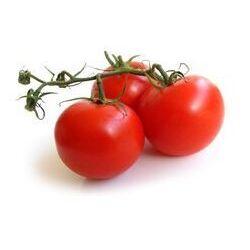 Aukštaūgiai pomidorai ankstyvi derlingi tvirti 'BROOKLYN H' po 1 sėklą (skaičiuojamos)