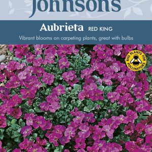 Darželinės aubretės rožiniais žiedais, kiliminės, žemos, daugiametės 'RED KING' 200 sėklų J. NAUJIENA 2023 m.
