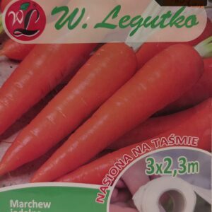 Morkų sėklos juostoje, ankstyvos 'AMSTERDAM 2' 7 metrai juostos L.