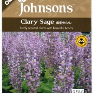 Kvapieji šalavijai (Clary Sage, muskusiniai), dvimečiai, alyviniai, 150 ekologiškų sėklų J. NAUJIENA 2023 m.