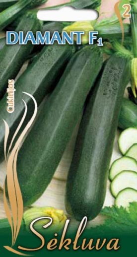Cukinijos ankstyvos, derlingos, atsparios miltligei 'DIAMANT F1' 5 sėklos S. Cukinijos ankstyvos, derlingos, atsparios miltligei 'DIAMANT F1' 5 sėklos S.
