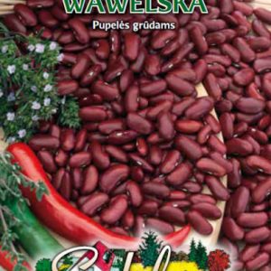 Žemaūgės daržinės pupelės grūdams, raudonai rudos, didelės pupelės 'WAWELSKA' 40 g (Naudinga pakuotė) S. NAUJIENA 2023 m.