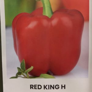 Paprikos saldžiosios ankstyvos dideliais vaisiais, tinka įdarymui 'RED KING H' 10 sėklų A. NAUJIENA 2023 m.