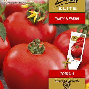 Pomidorai vidutinio ankstyvumo, labai skanūs, tinka džiovinimui 'ZOFKA H' 0,1 g Elite (TV laida Svajonių sodai) NAUJIENA 2023 m.