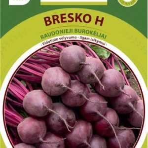 Burokėliai vešlia lapija, tamsiai raudonai violetiniai, atsparūs ligoms, laikymui 'BRESKO H' 200 sėklų BS NAUJIENA 2023 m.