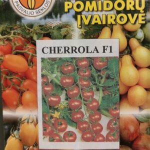 Pomidorai smulkiavaisiai saldūs 'CHERROLA F1' 20 sėklų (Naudinga pakuotė) PS.