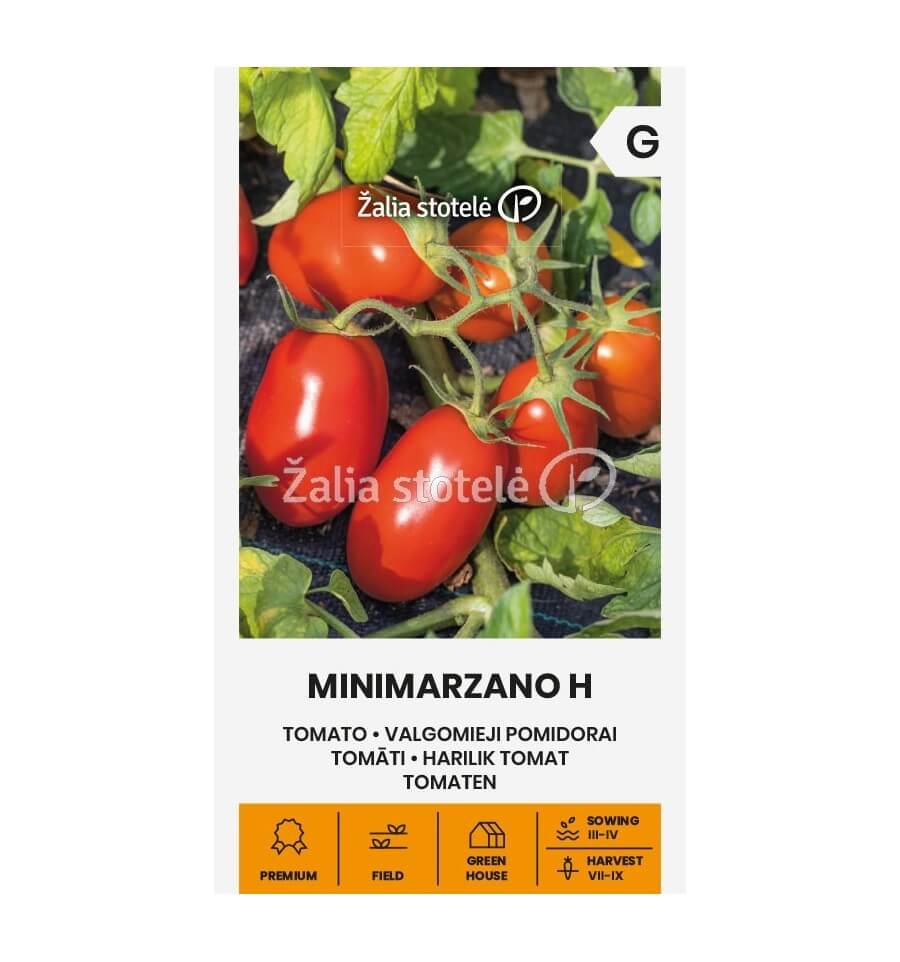 Pomidorai žemi, vyšniniai pailgi, skanūs, atsparūs ligoms 'MINIMARZANO H ' 10 sėklų A. Pomidorai žemi, vyšniniai pailgi, skanūs, atsparūs ligoms 'MINIMARZANO H ' 10 sėklų A.