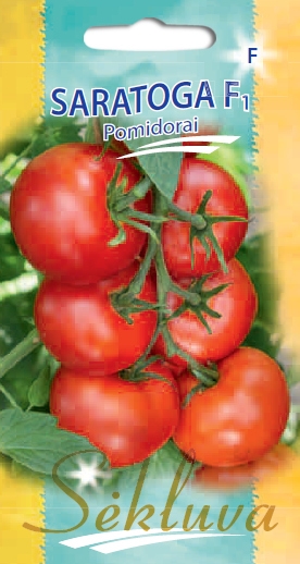 pomidorai Saratoga F1