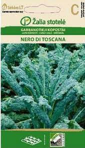 Palmiškieji kopūstai - lapiniai žali švelnūs (Kale) garbanotieji kopūstai 'NERO DI TOSCANA’ 1 g A.