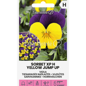 Našlaitės smulkiažiedės hibridinės dvispalvės: geltonos su violetiniu 'SORBET XP H YELLOW JUMP UP' 20 sėklų A. NAUJIENA 2023 m.