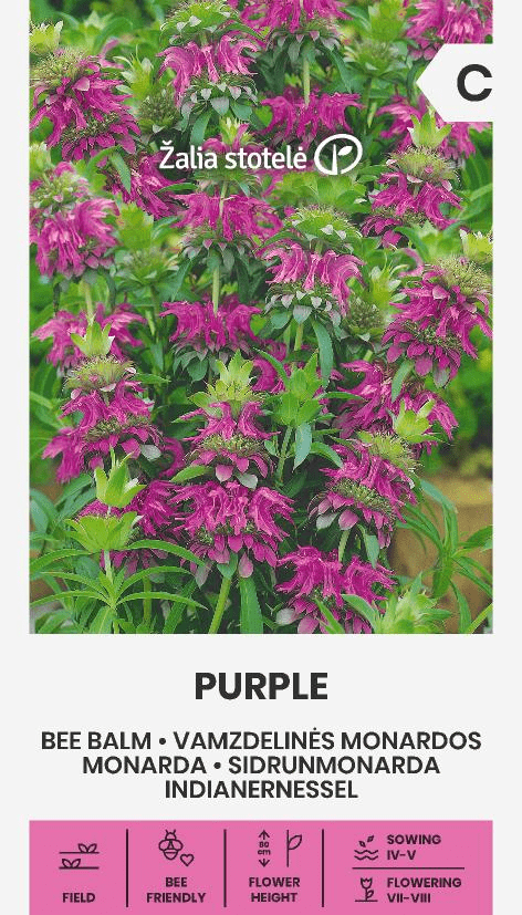 Vamzdelinės monardos Purple