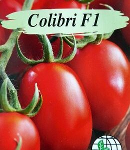 Pomidorai pailgais vaisiais, derlingi 'COLIBRI F1' 6 sėklos (Maža pakuotė) AGRC.