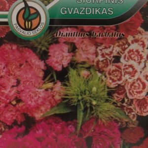 Šiurpiniai gvazdikai „šimtažiedžiai“, „kristaliukai“ dvimečiai, žemi, mišinys 0,5 g PS.