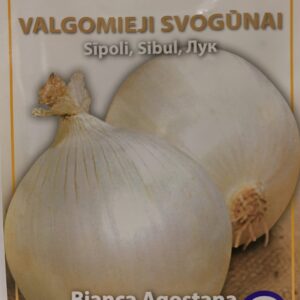 Svogūnai balti dideli, laikymui 'BIANCA AGOSTANA DI CHIOGGIA' 1,5 g HOR.