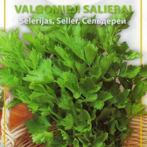 Lapiniai salierai, labai kvepia 'VERDE DA TAGLIO' 2 g (Naudinga pakuotė) HOR.