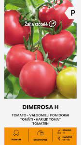 Pomidorai avietiniai, ankstyvi, atsparūs ligoms 'DIMEROSA H' 10 sėklų A.