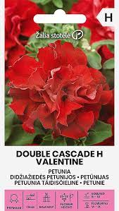 Petunijos pilnavidurės didžiažiedės raudonos 'DOUBLE CASCADE H VALENTINE' 20 dražuotų sėklų A. NAUJIENA 2023 m.