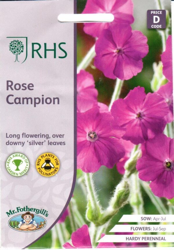 Gaisrenos vainikinės, pilkais lapais, ryškiai rožiniais žiedais, daugiametės 'Rose Campion' 500 sėklų (Apdovanota RHS medaliu) MR.F. NAUJIENA 2023 m.