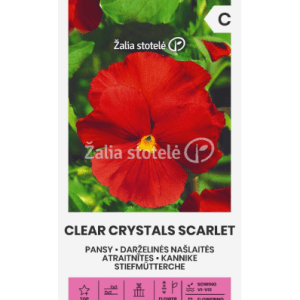 Našlaitės raudonos 'CLEAR CRYSTALS SCARLET' 0,3 g A.