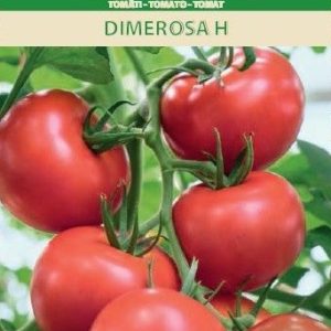 Pomidorai avietiniai, ankstyvi, atsparūs ligoms 'DIMEROSA H' 10 sėklų A.