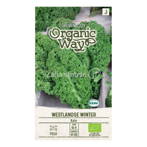 Lapiniai garbanotieji žali (Kale) kopūstai 'WESTLANDSE WINTER’ 0,3 g (Ekologiškos sėklos) OW NAUJIENA 2023 m.