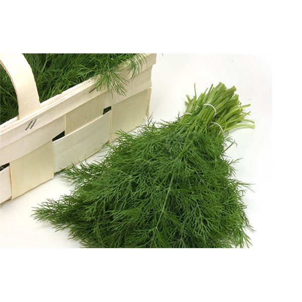 Krapai neaukšti, kvapnūs ir vešlūs 'HERA' 50 g (Profi pakuotė). GRAINES VOLTZ Krapai neaukšti, kvapnūs ir vešlūs 'HERA' 50 g (Profi pakuotė). GRAINES VOLTZ