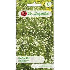 Siūlinės žiemenės (Sagina), daugiamečiai, „žalias žydintis kilimas“ 0,03 g L.