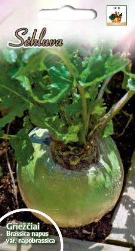 Griežčiai (sėtiniai) pašariniai ir maistui 'Wilhemsburger' 10 g sėklų (Naudinga pakuotė) T. Griežčiai (sėtiniai) pašariniai ir maistui 'Wilhemsburger' 10 g sėklų (Naudinga pakuotė) T.