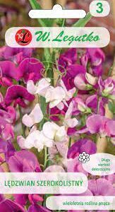 Plačialapiai pelėžirniai, vijokliniai, daugiamečiai, kvepia 2 g (Naudinga pakuotė) L. Plačialapiai pelėžirniai, vijokliniai, daugiamečiai, kvepia 2 g (Naudinga pakuotė) L.