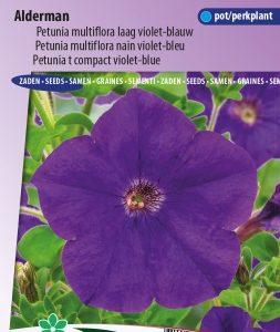 Petunijos daugiažiedės violetinės 'ALDERMAN' 0,1 g SLG. NAUJIENA 2024 m.