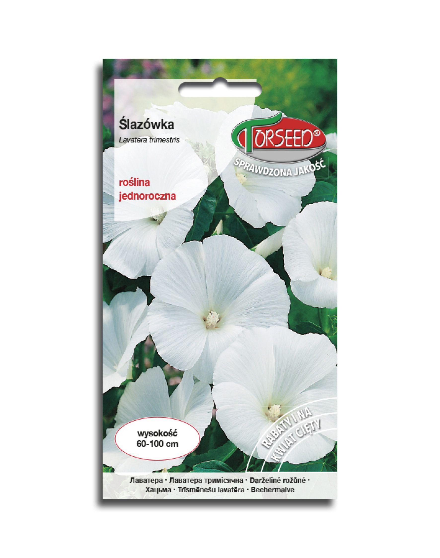 Rožūnės darželinės baltos, lietuviškam gėlynui, „sodo rožės“ 1 g T. Rožūnės darželinės baltos, lietuviškam gėlynui, „sodo rožės“ 1 g T.