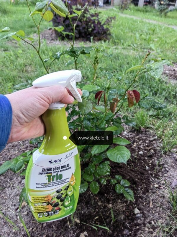 Žalias sodo muilas „TRIO“ nuo kenkėjų su purkštuvu, triguba apsauga, aktyvios nano kapsulės 500 ml NAUJIENA 2024 m.